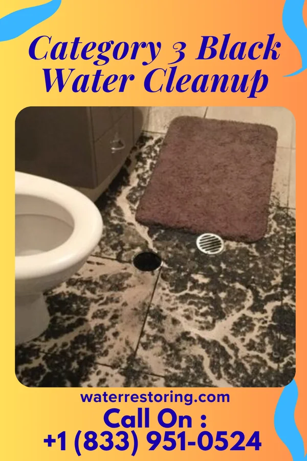 Category 3 Black Water Cleanup in Johnstown, OH