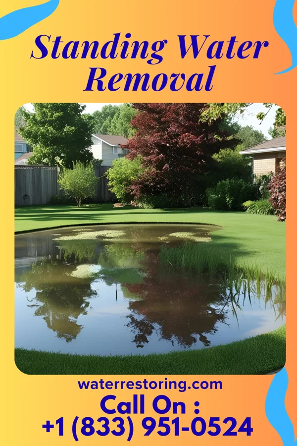 Standing Water Removal in Johnstown, OH